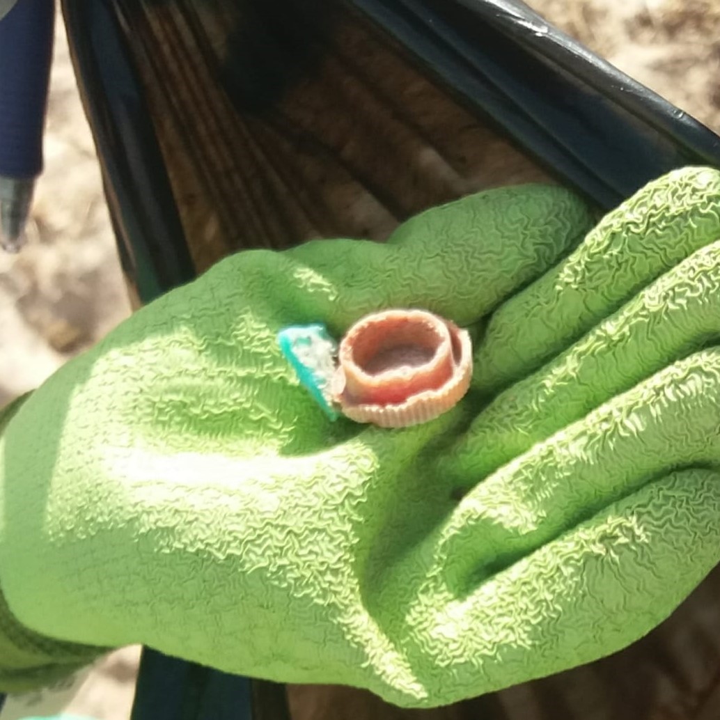 "Natura sin Basura" y el CEI Elvira Lindo fomentan la conciencia ambiental en La Cachucha con el apoyo de la Cátedra VERINSUR-UCA de Economía Circular e Investigación en Ingeniería Ambiental