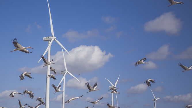 La desconocida gestión de los residuos