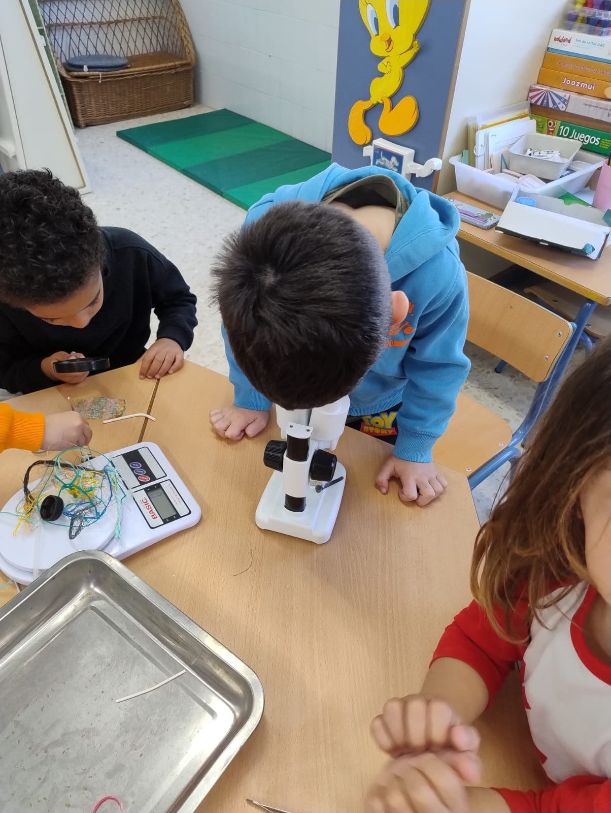 Jornada con el colegio Viento del Sur – Puerto Real